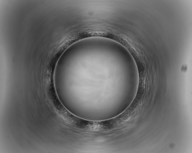 X0000099570695200805161517