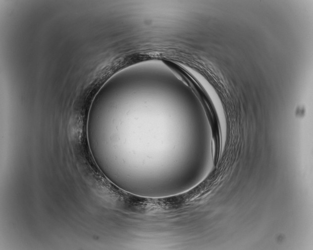 X0000099570697200805161517