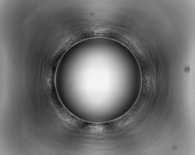 X0000099570698200805161517