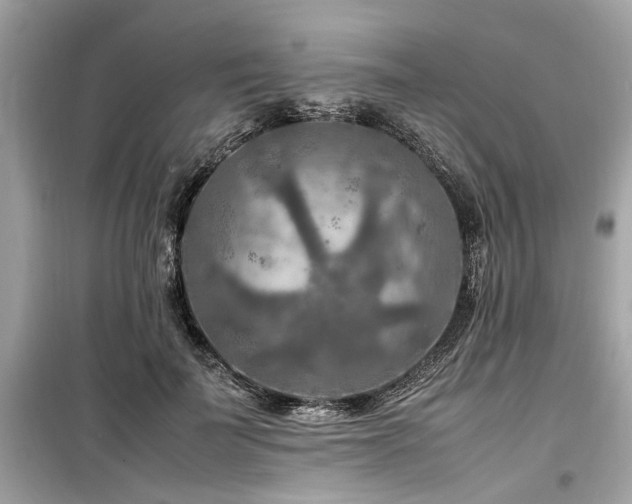 X0000099570699200805161517