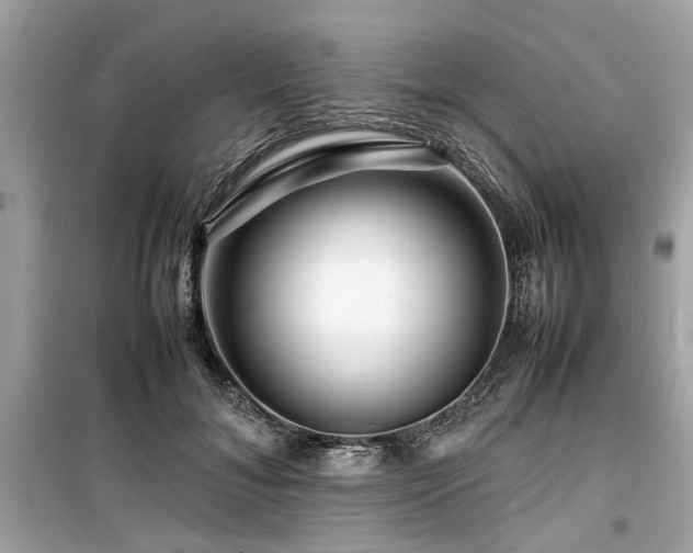 X0000099570700200805161517