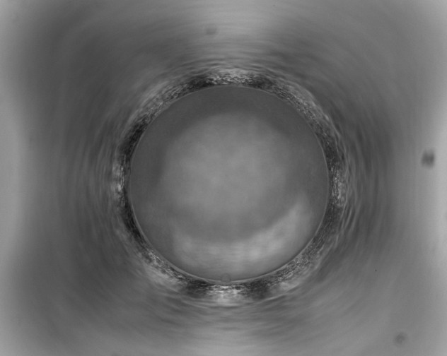 X0000099570701200805161517