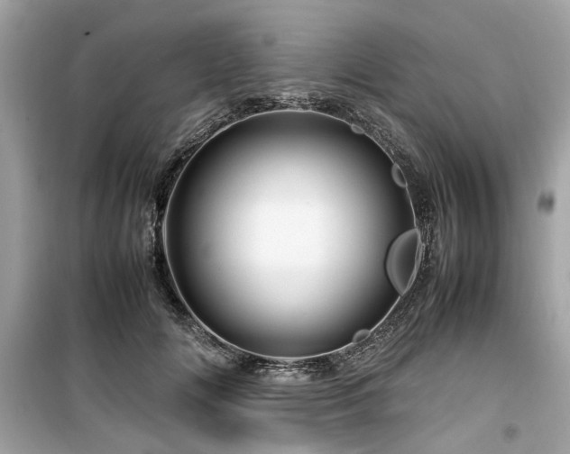 X0000099570702200805161517