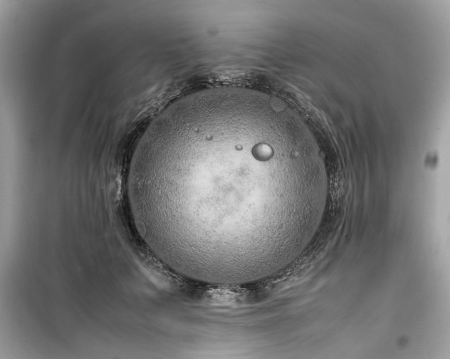 X0000099570703200805161517