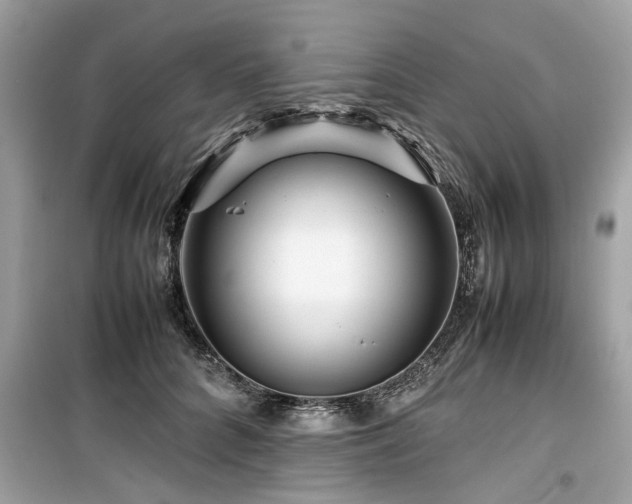 X0000099570704200805161517