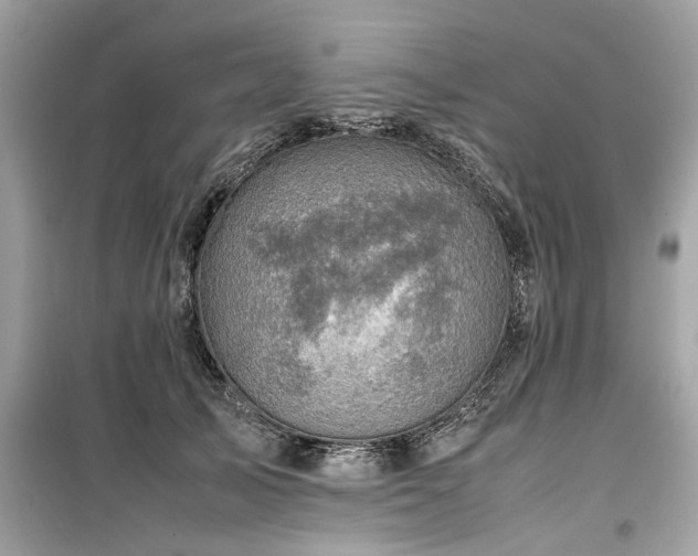 X0000099570705200805161517