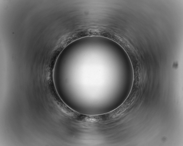 X0000099570706200805161517