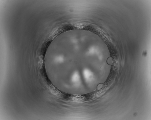 X0000099570707200805161517