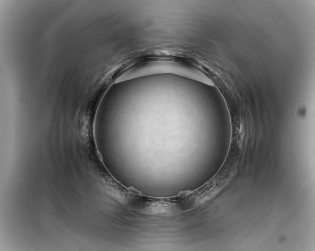 X0000099570708200805161517