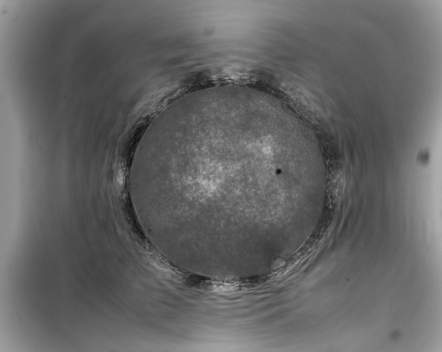 X0000099570709200805161517