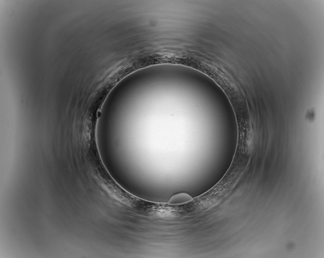 X0000099570710200805161517