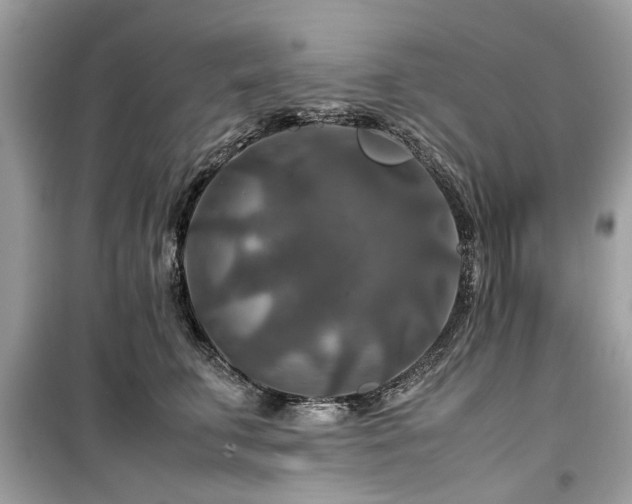 X0000099570711200805161517