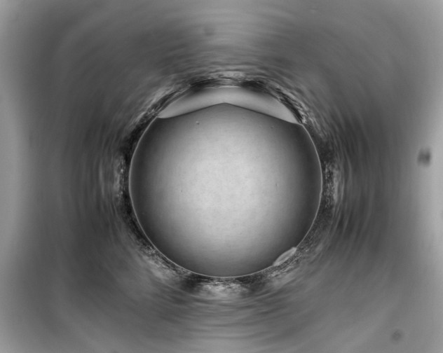 X0000099570712200805161517