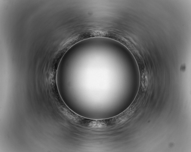 X0000099570714200805161517