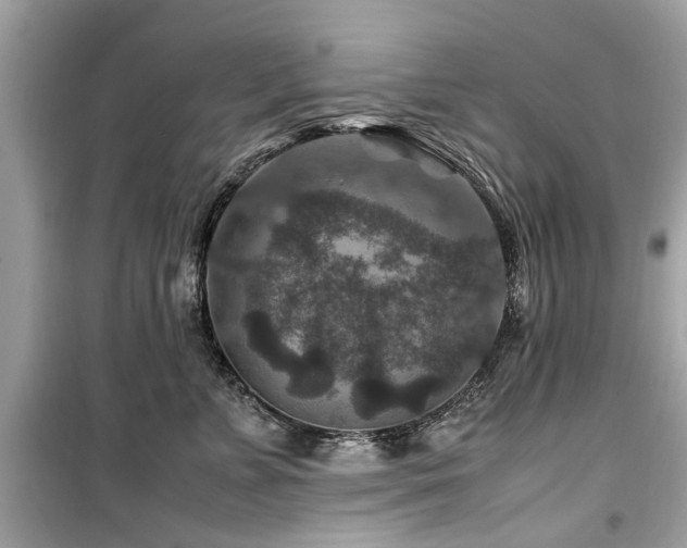 X0000099570715200805161517