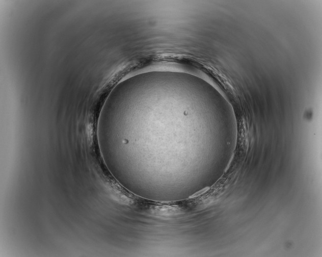 X0000099570716200805161517