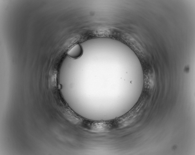 X0000099570717200805161517