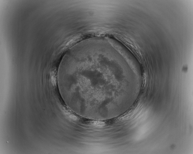 X0000099570719200805161517