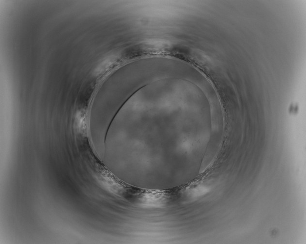 X0000099570720200805161517