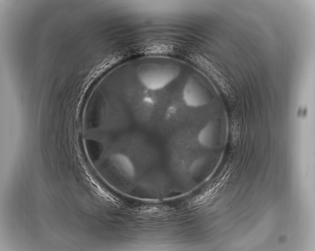 X0000099570721200805161516