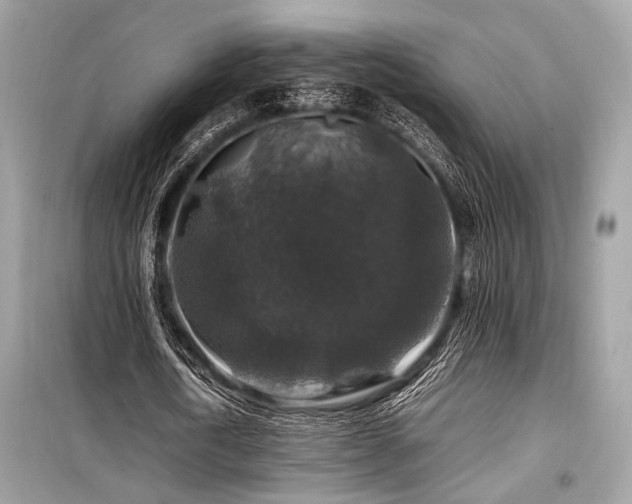 X0000099570722200805161516