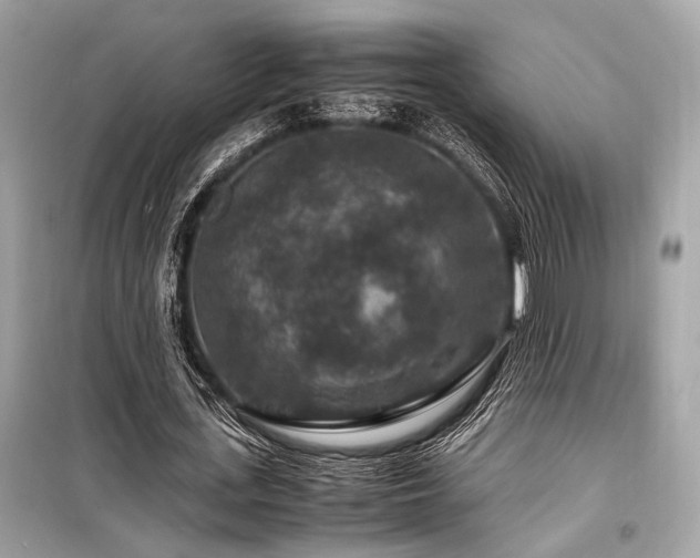 X0000099570723200805161516