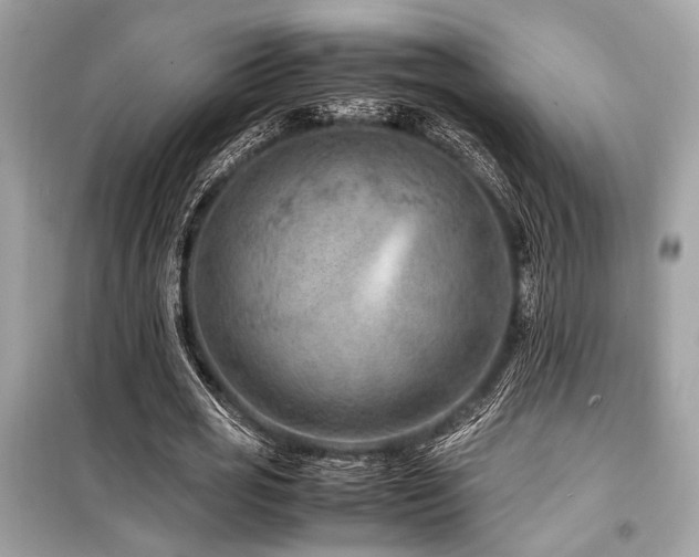 X0000099570725200805161516