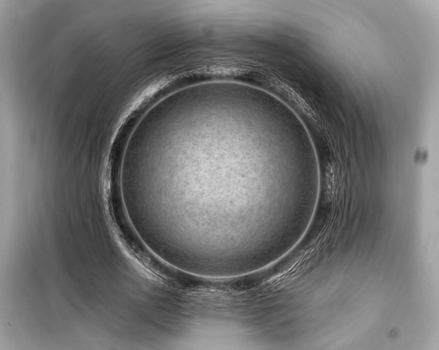 X0000099570726200805161516