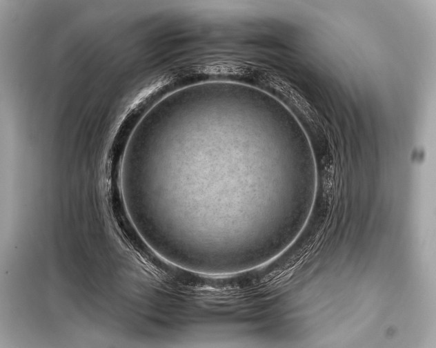 X0000099570727200805161516