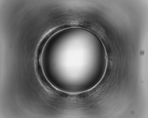 X0000099570728200805161516