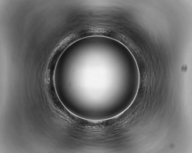 X0000099570731200805161516