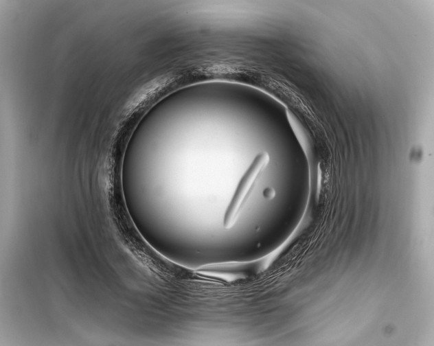 X0000099570732200805161516