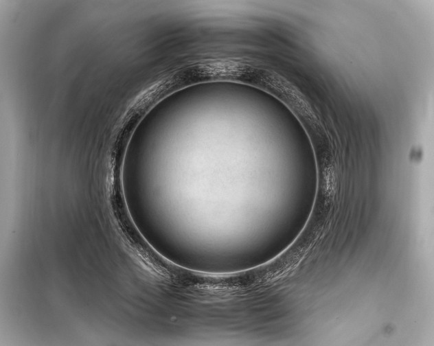 X0000099570733200805161516