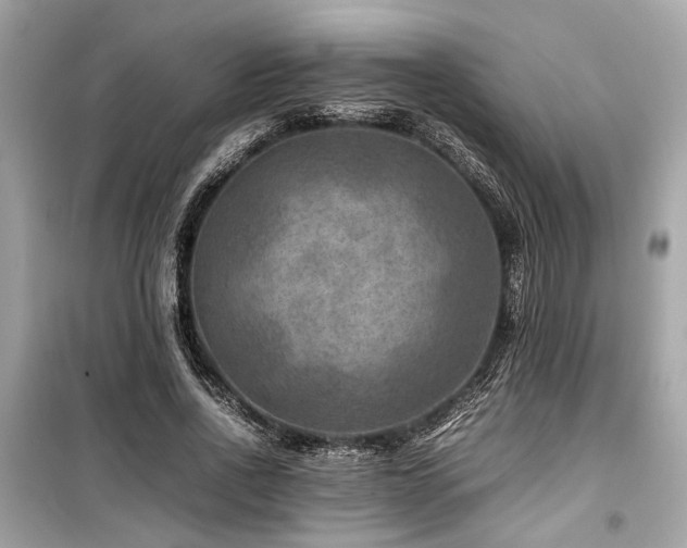 X0000099570734200805161516