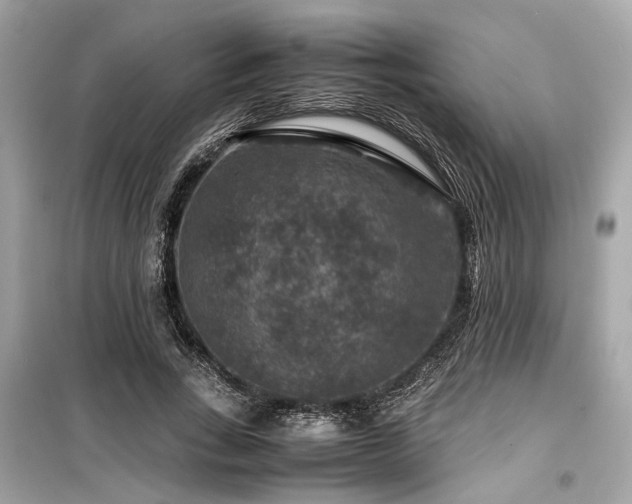 X0000099570735200805161516