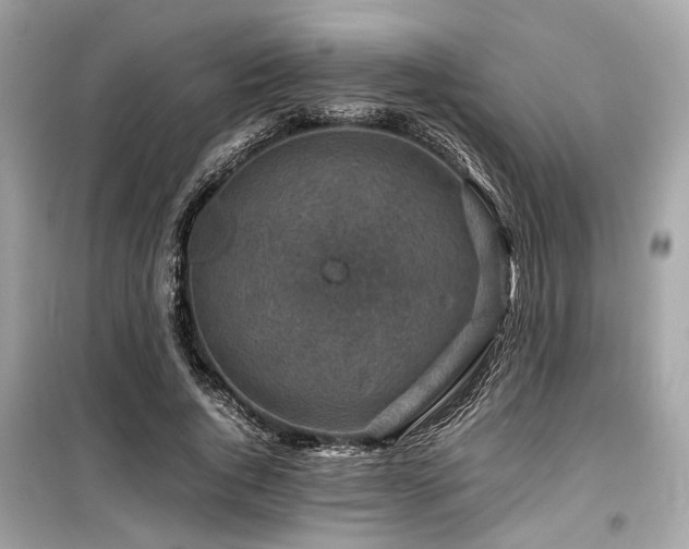 X0000099570736200805161516