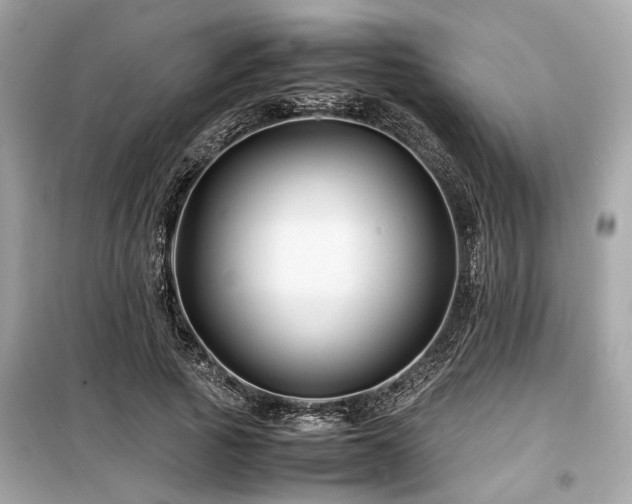 X0000099570737200805161516