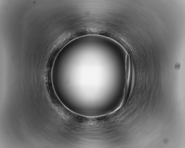 X0000099570738200805161516