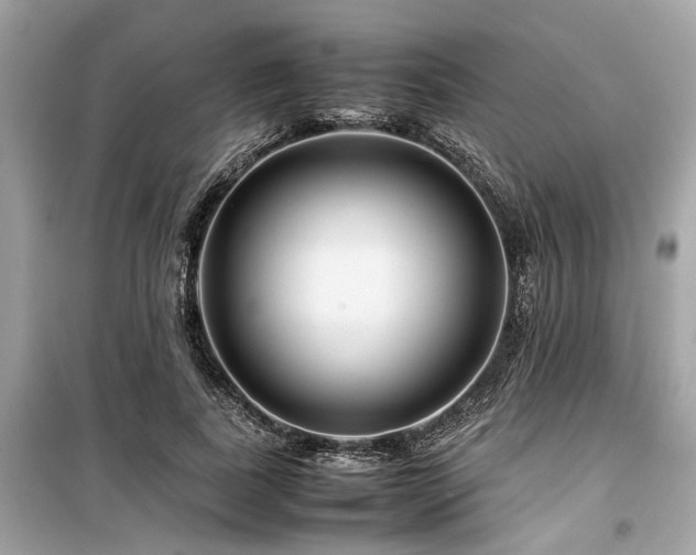 X0000099570739200805161516