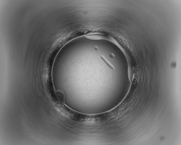 X0000099570740200805161516