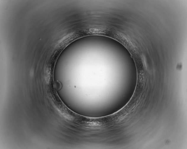 X0000099570741200805161516