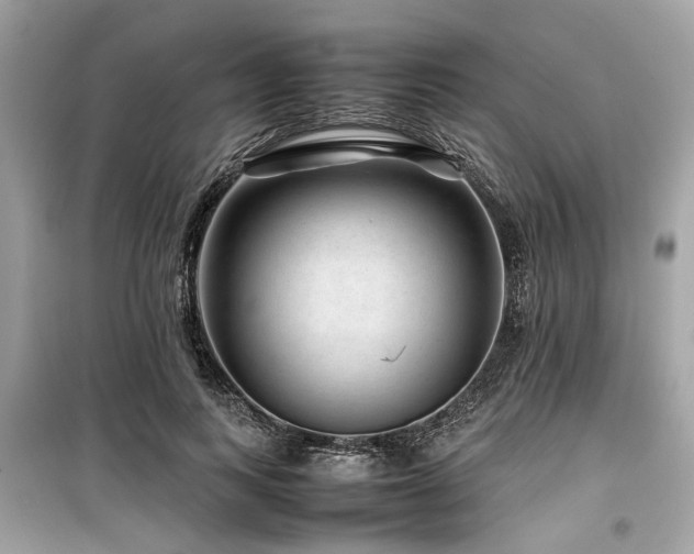 X0000099570743200805161516