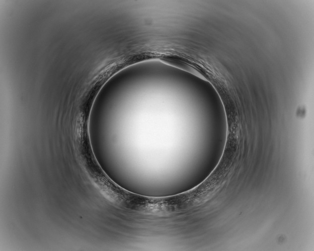 X0000099570744200805161516