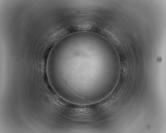 X0000099570745200805161516