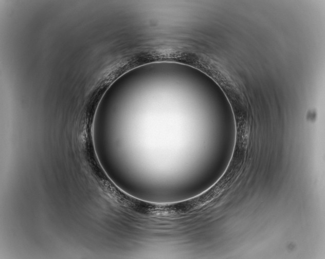 X0000099570746200805161516