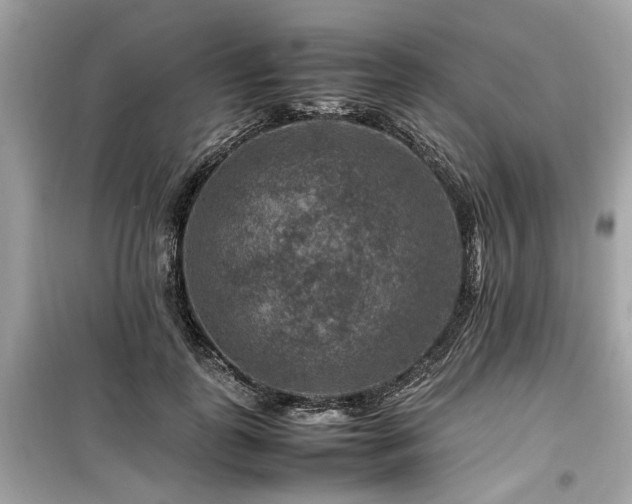 X0000099570747200805161516