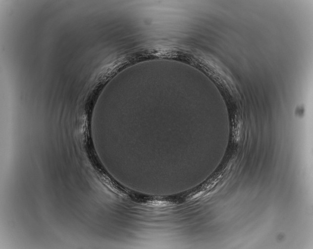 X0000099570748200805161516