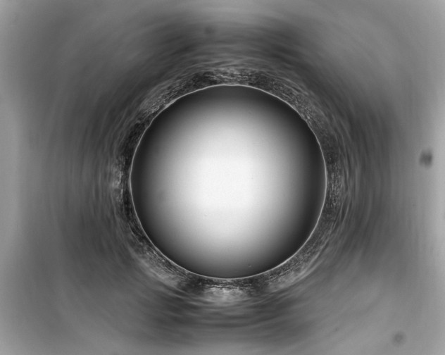 X0000099570749200805161516