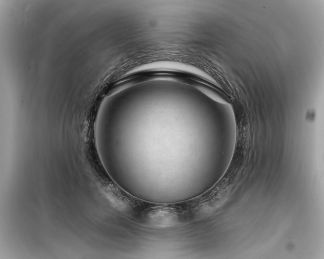 X0000099570750200805161516