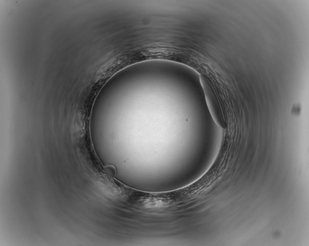 X0000099570751200805161516